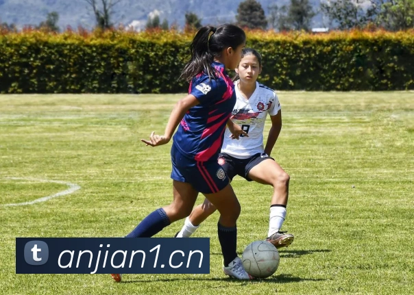 mksports官方商城全站App mksports官方商城全站App